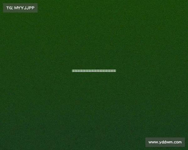 以强化赛事为核心全面推动赛事管理创新与体验升级的实施路径