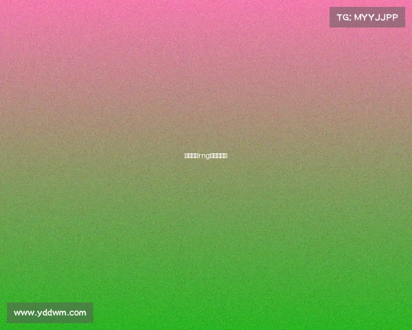 电子竞技rng成员都有谁